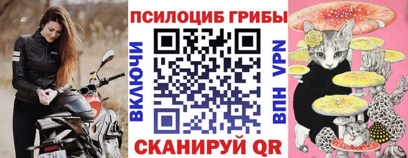 площадка Telegram  Горняк  Галлюциногенные грибы ЛСД 